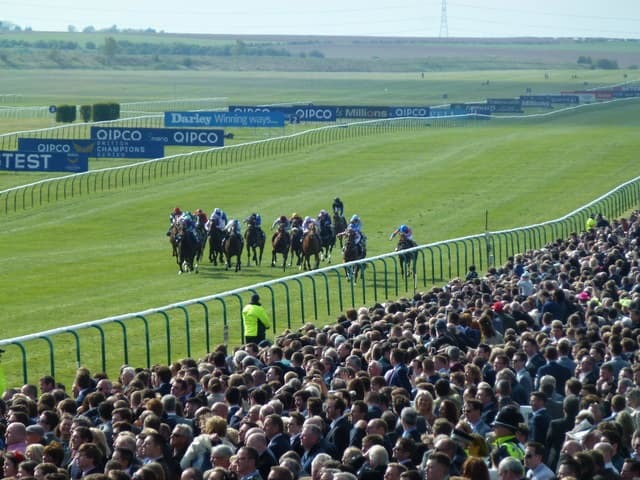 1000 Guineas Stakes Horse Race