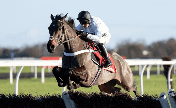 Constitution Hill Race Horse Cheltenham