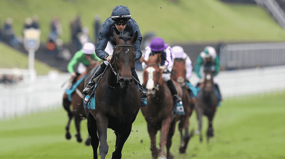 Epsom Derby Race Horse