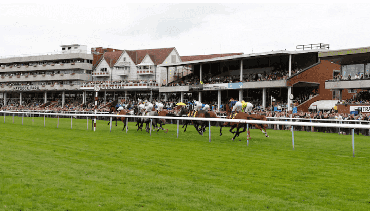 Haydock Sprint Cup best bets