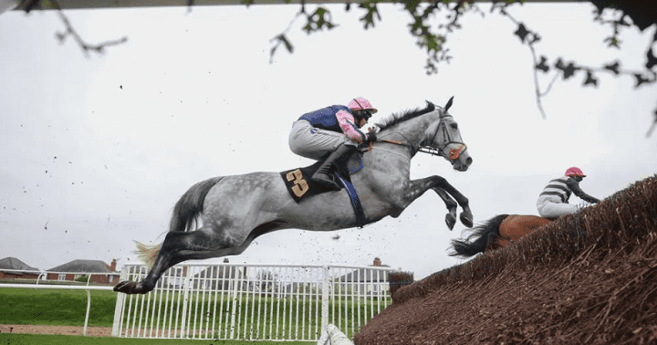 Marble Sands Racehorse