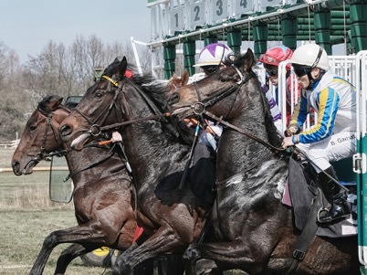 horse racing start