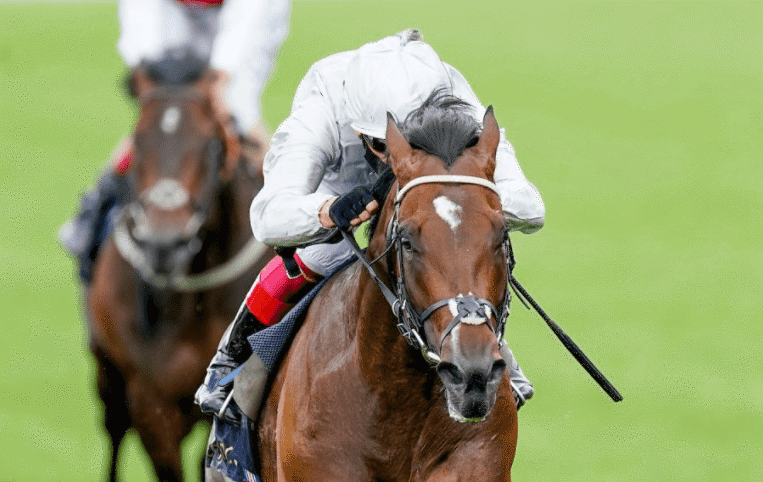 QIPCO Champions Day Preview