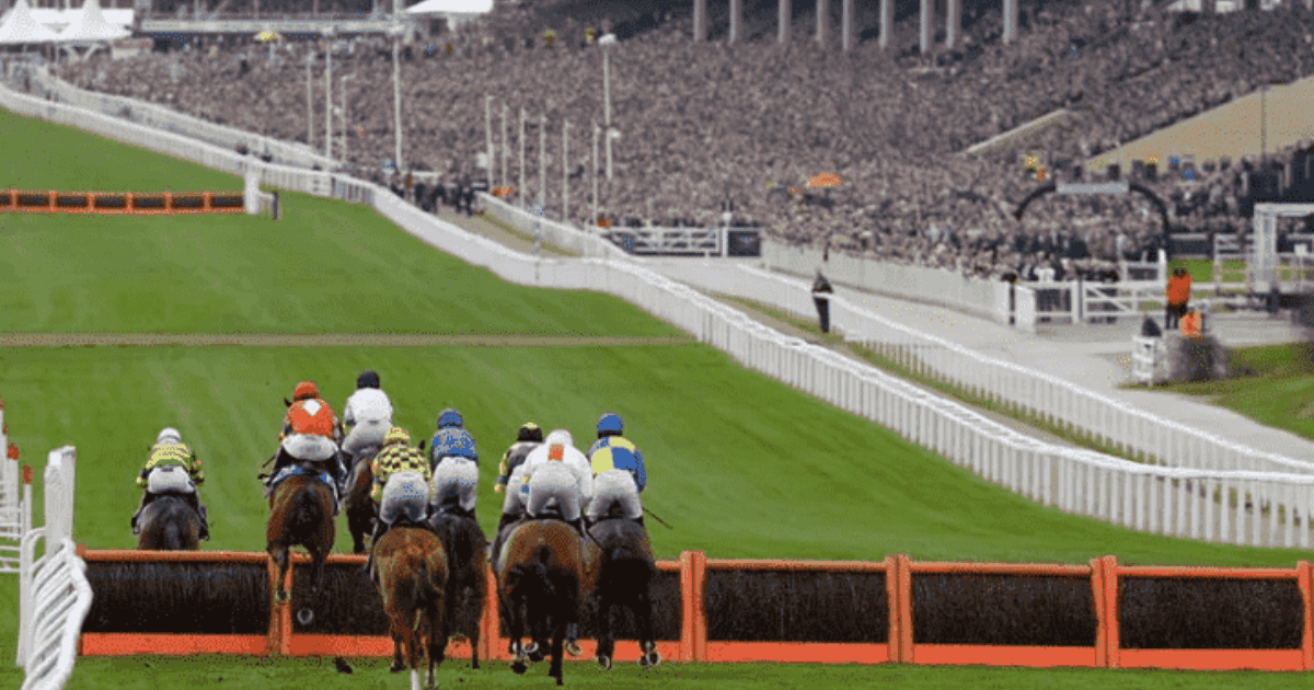 Cheltenham Festival 2023 Non Runner No Bet on all races with talkSPORT